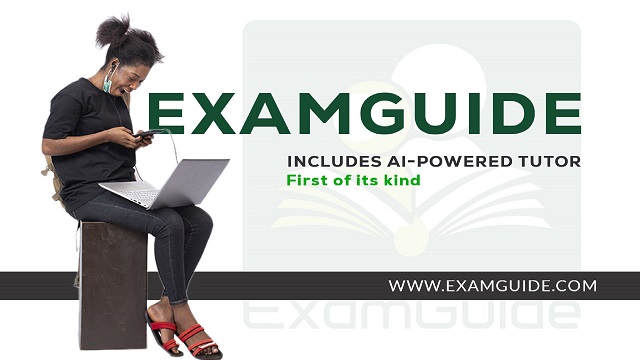How ExamGuide's AI Tutor Can Replace Your Private Lesson Teacher