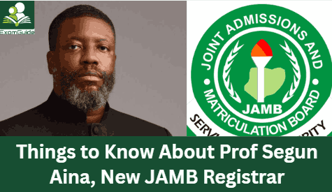 7 Things You Need to Know About Prof Segun Aina, New JAMB Registrar
