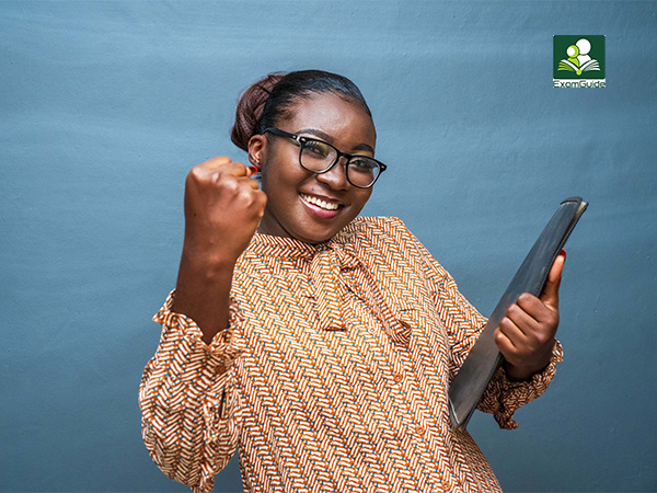 The Complete Guide to Excelling in WAEC, NECO & JAMB with Past Questions: Strategies That Work