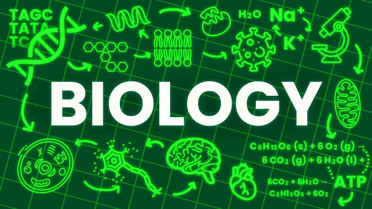 2026 NECO Biology Objective & Essay Exam Holds Monday, June 29 - Check Details Here