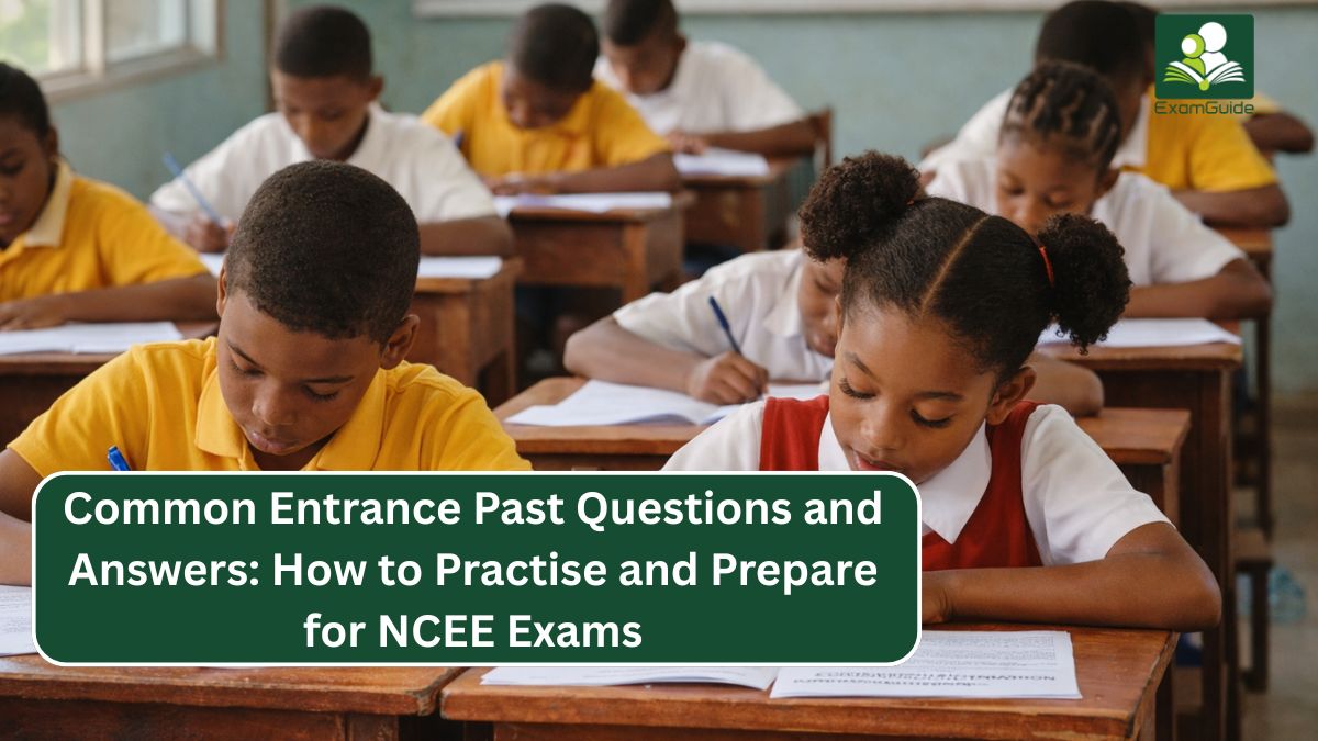 Common Entrance Past Questions and Answers: How to Practise and Prepare for NCEE Exams