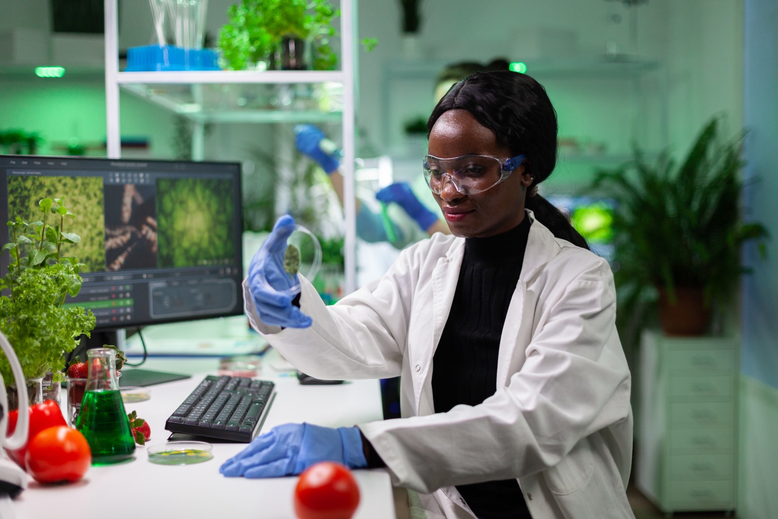 Why Every Science Student in Nigeria Needs the Virtual Science Lab Before Their Practical Exams
