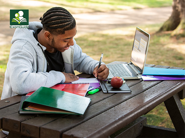 ICAN ATS & Professional Levels Explained: Requirements, Subjects & Study Resources