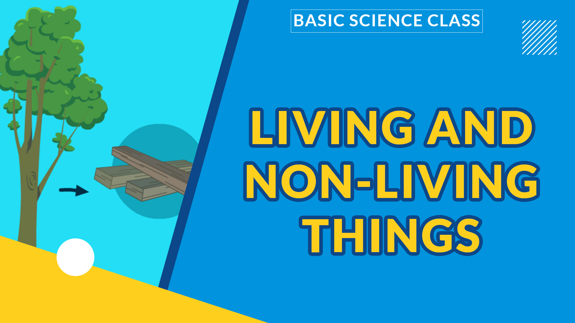 LIVING AND NON LIVING THINGS