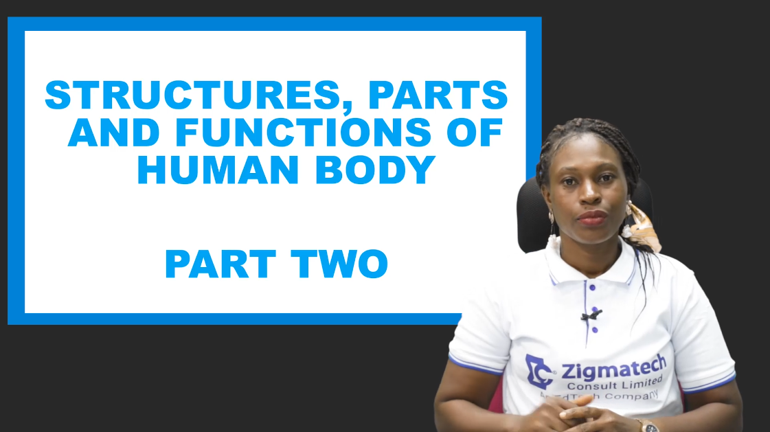 HOME ECONOMICS | STRUCTURE, PARTS AND FUNCTIONS OF THE HUMAN BODY II