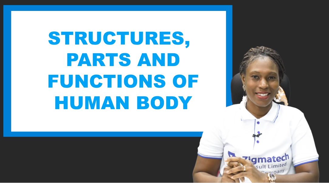 HOME ECONOMICS | STRUCTURE, PARTS AND FUNCTIONS OF THE HUMAN BODY