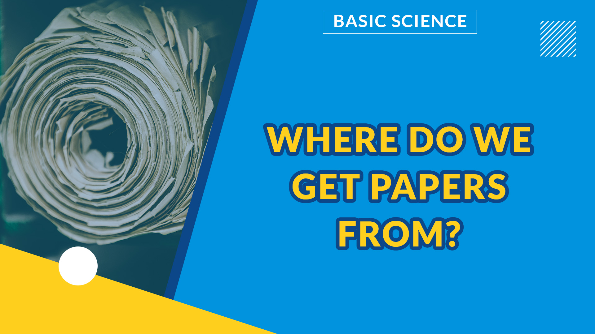 LIVING AND NON-LIVING THINGS PART 2 | WHERE IS PAPER MADE FROM?