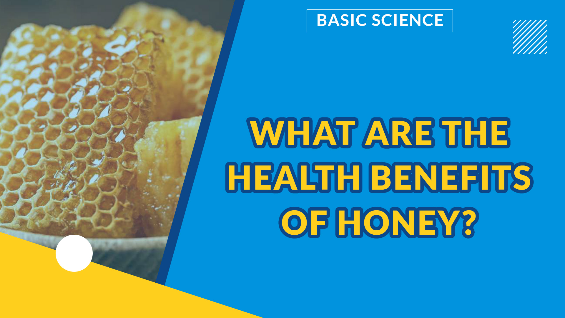 RESOURCES DERIVED FROM LIVING THINGS | HEALTH BENEFITS OF HONEY