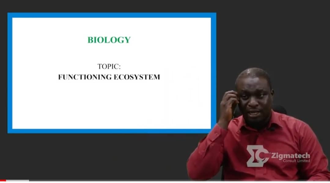 FUNCTIONING ECO SYSTEM