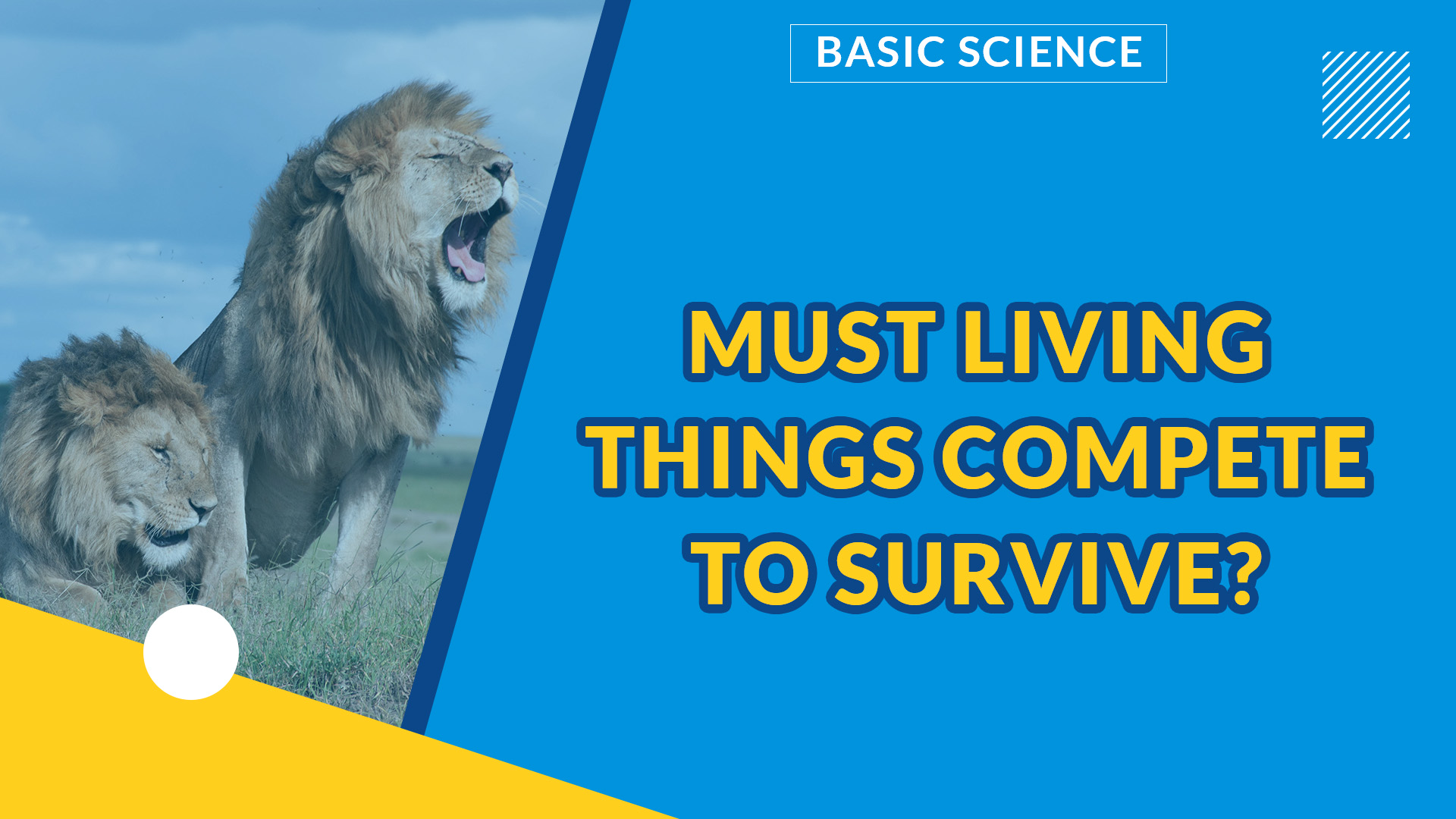 LIVING AND NON-LIVING THINGS PART 1 | MUST LIVING THINGS COMPETE TO SURVIVE?