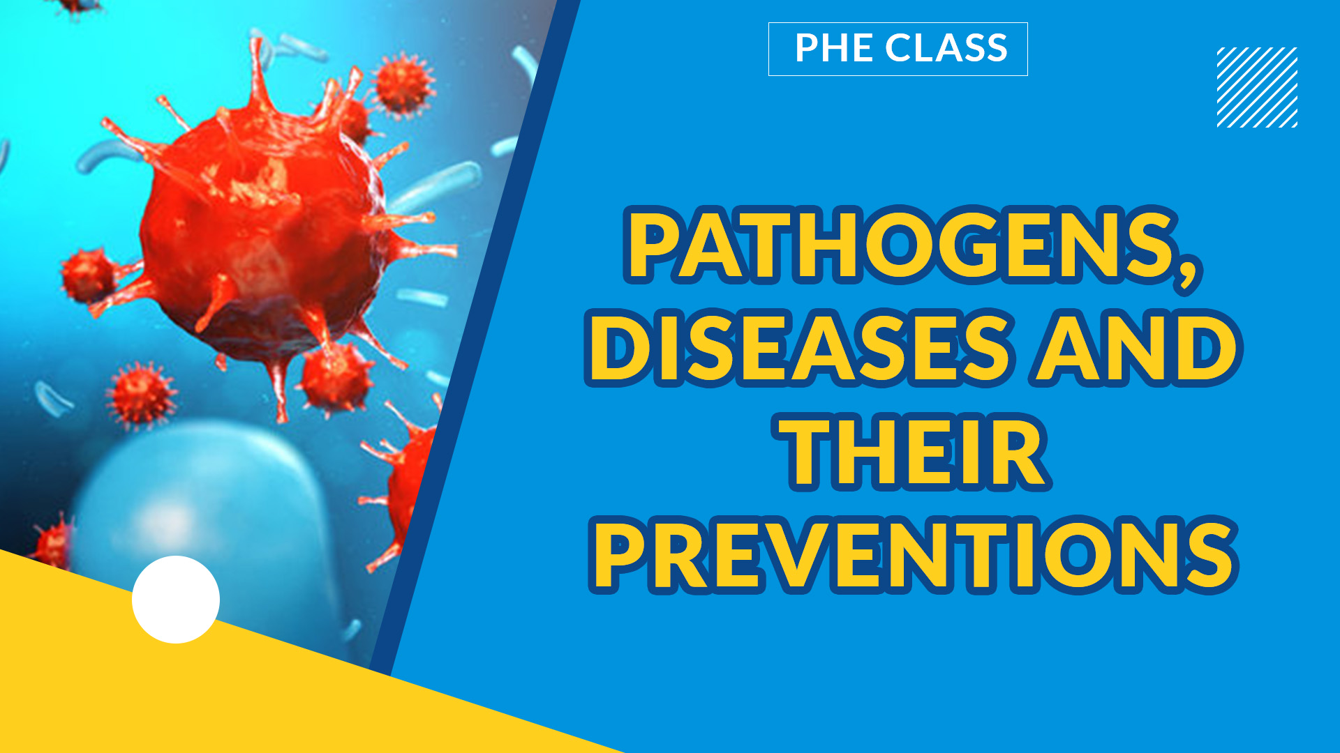PATHOGENS, DISEASES AND THEIR PREVENTIONS